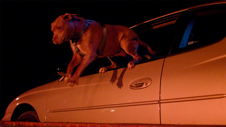 The Trouble with Billy episode nine